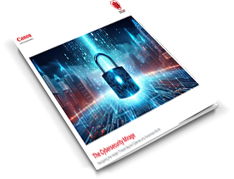 The Cybersecurity Mirage eBook